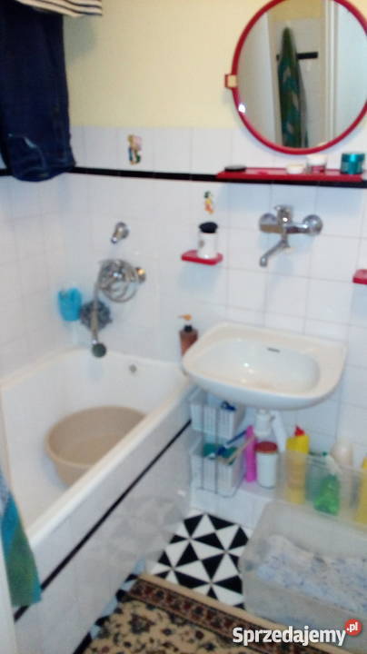 sprzedam mieszkanie Płońsk 455 m2 664374704 46m2 sprzedam