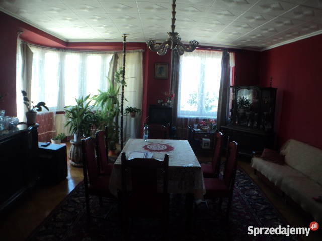 mieszkanie w ziębicach sprrzedaż dolnośląskie