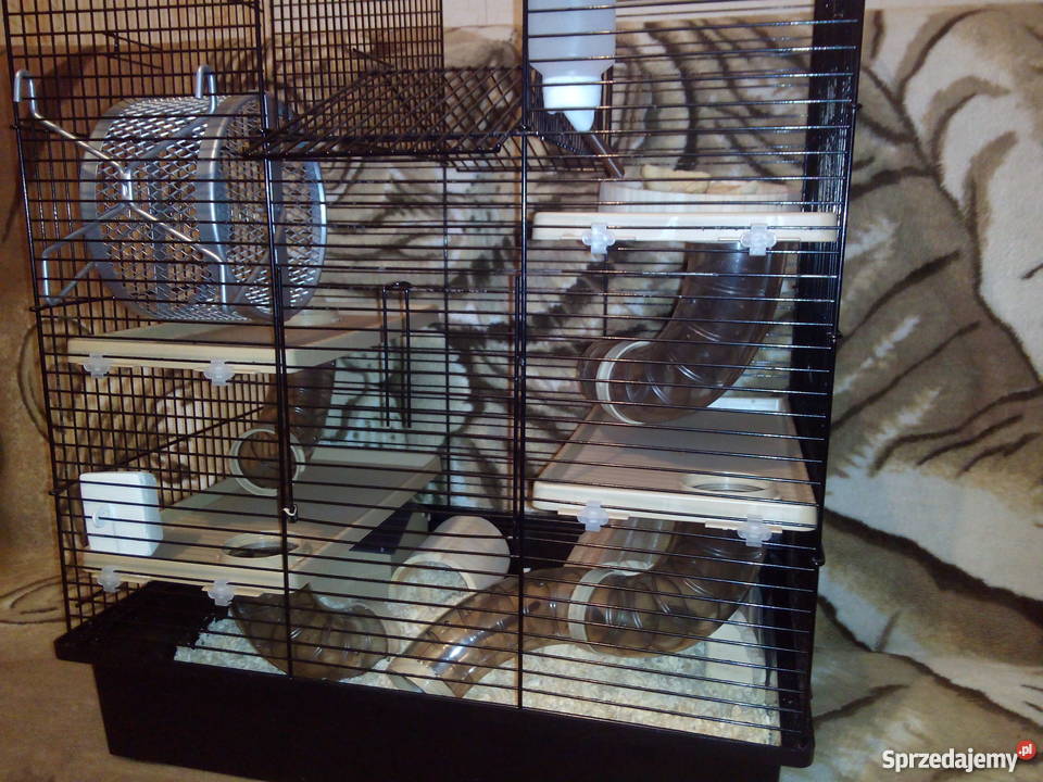 Duza klatka chomikaakcesoria Akcesoria dla zwierząt Szczecinek