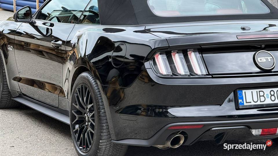 Mustang Europa Szwajcaria lubelskie Lublin