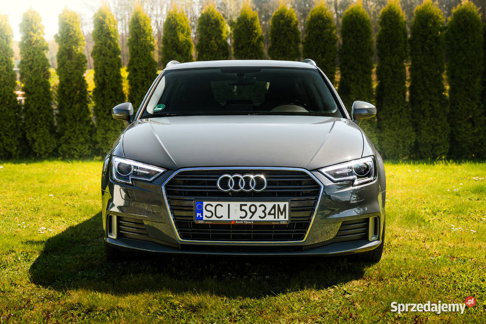 Audi a3 8v śląskie Hażlach