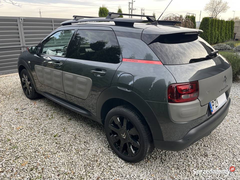 Citroen Cactus Shine Edition Pierwszy Właściciel wielkopolskie Poznań