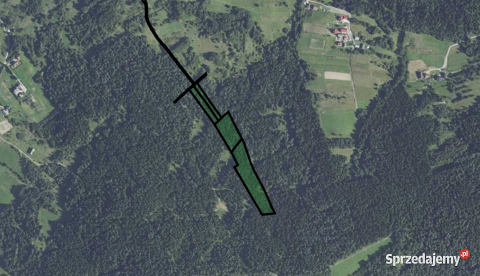 Działka leśna 20 700 m Kasina Wielka 445m małopolskie