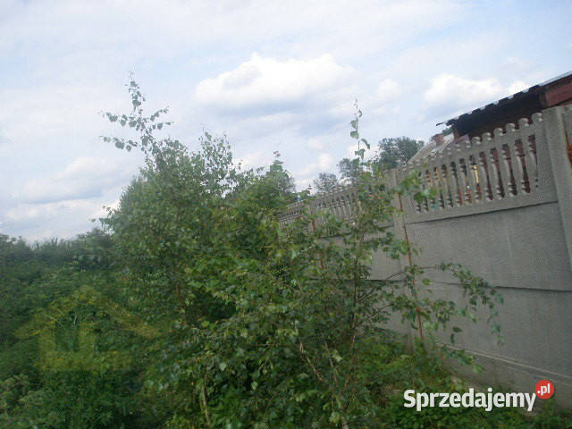 Działka w Nadbrzeżu
