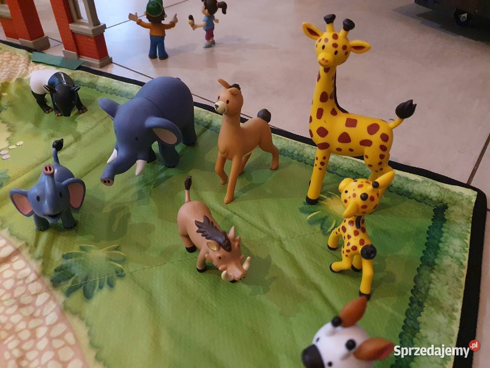 Kolekcja zwierzęta w zoo Długosiodło