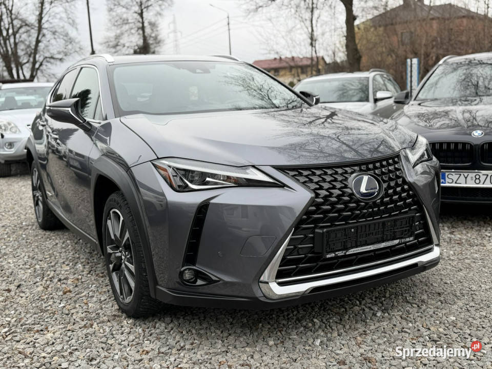 Lexus UX 250 Hybrid Ful LED Premium ABS UX Łodygowice