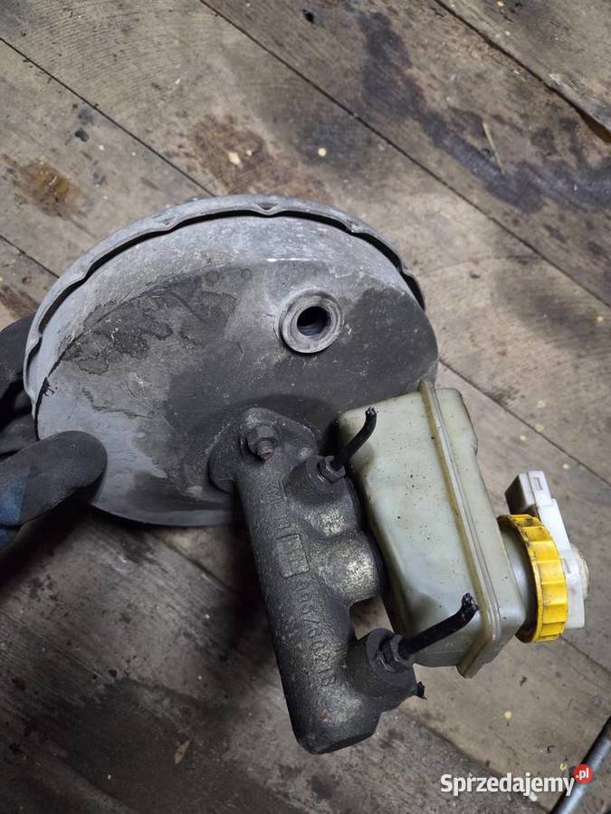 Serwo Lancia ypsilon 12 Łagów