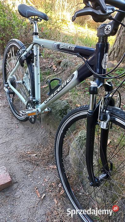 Alu Rower Miejski Męski Gazelle Puerto 3x8 Wołów