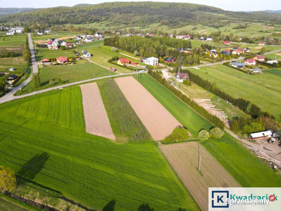 Działka Srogów Górny 2790m2 Sprzedaż