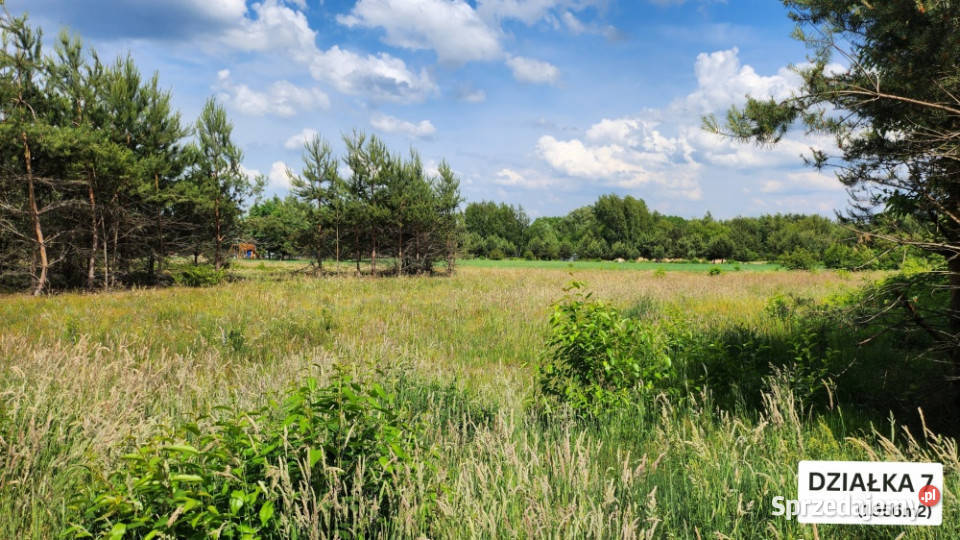 ZBOISKA KRADZIEJOWIC OSTATNIE DZIAŁKI BUDOWLANE sprzedam