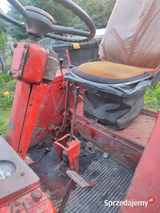 Władymirec t25 Ujazd