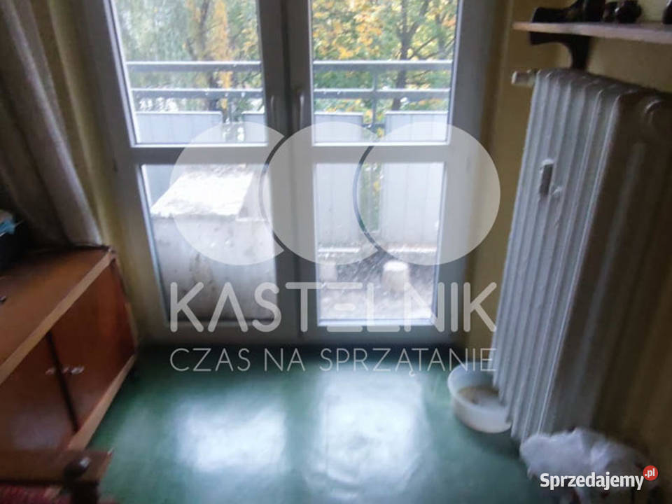 Sprzątanie gołębiach Brzeg Kastelnik mycie
