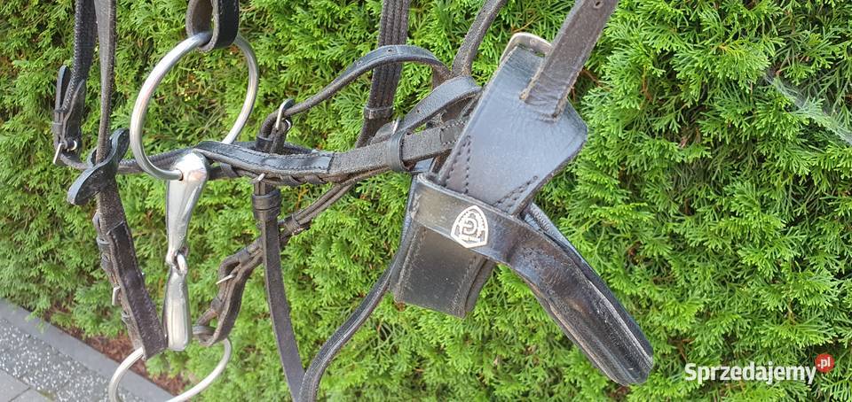 Siodło Zestaw Do Jazdy Konnej Szczebrzeszyn