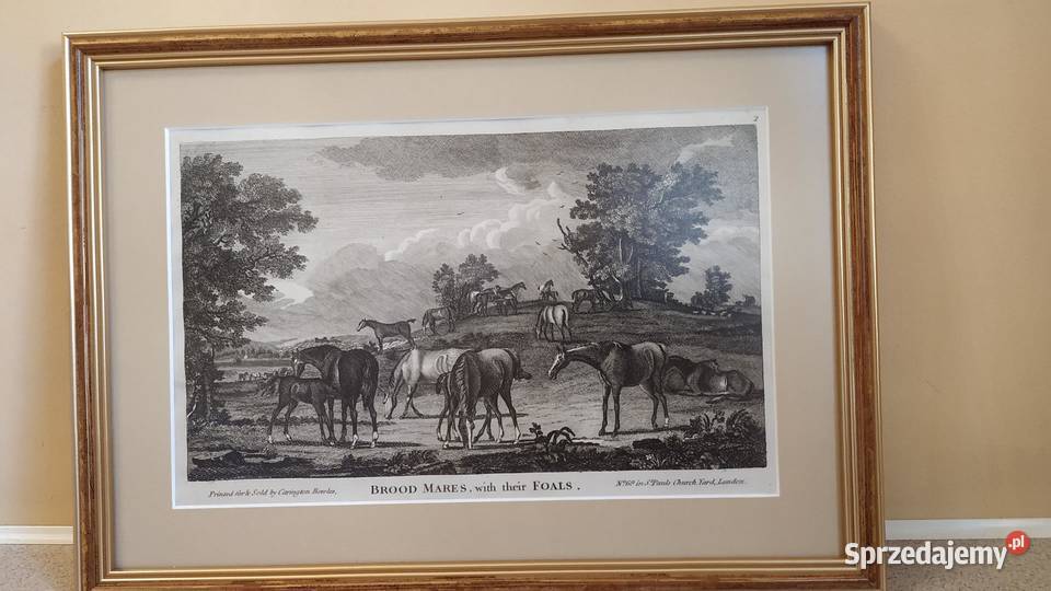 Dziesięć rycin przedstawiających konie do