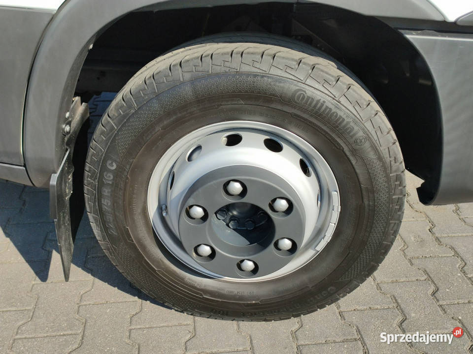 Iveco Daily 72C18 Mroźnia Ściana Grodziowa immobilizer Widełki