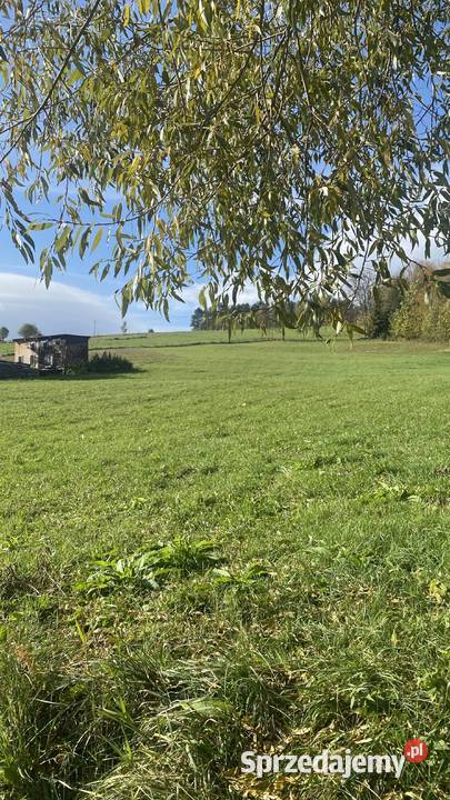 Działka budowlana widokowa bez pośredników ponad Maciejowa