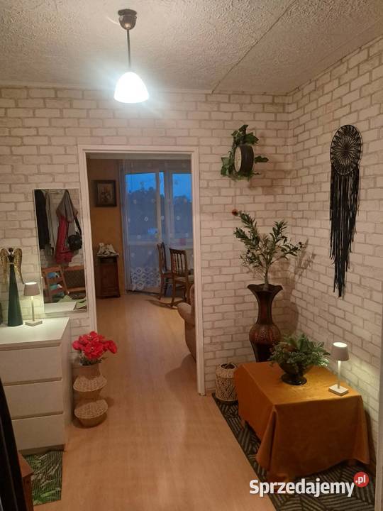 Mieszkanie w bloku dom nieruchomości Mogilno