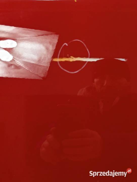 DRZWI PRAWY PRZÓD MERCEDES BKLASA W247 Białystok sprzedam