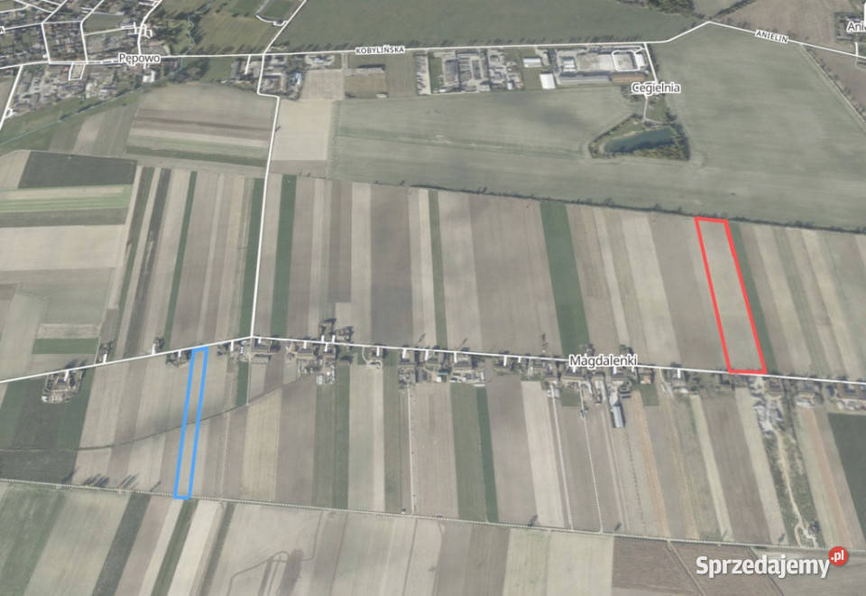 Grunty Rolne 580 Ha Magdalenki Wlkp Klasa III 20zł/m2
