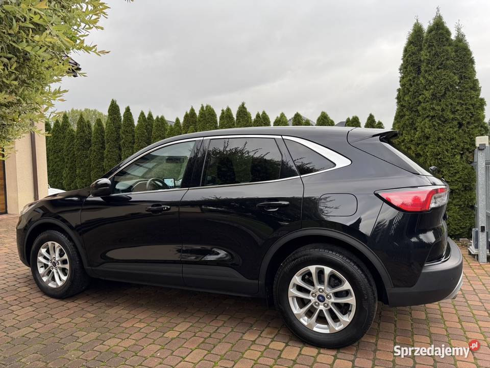 Ford Kuga Keyless Oryg Lakier Kamera Led system Start-Stop Samochody osobowe Kutno