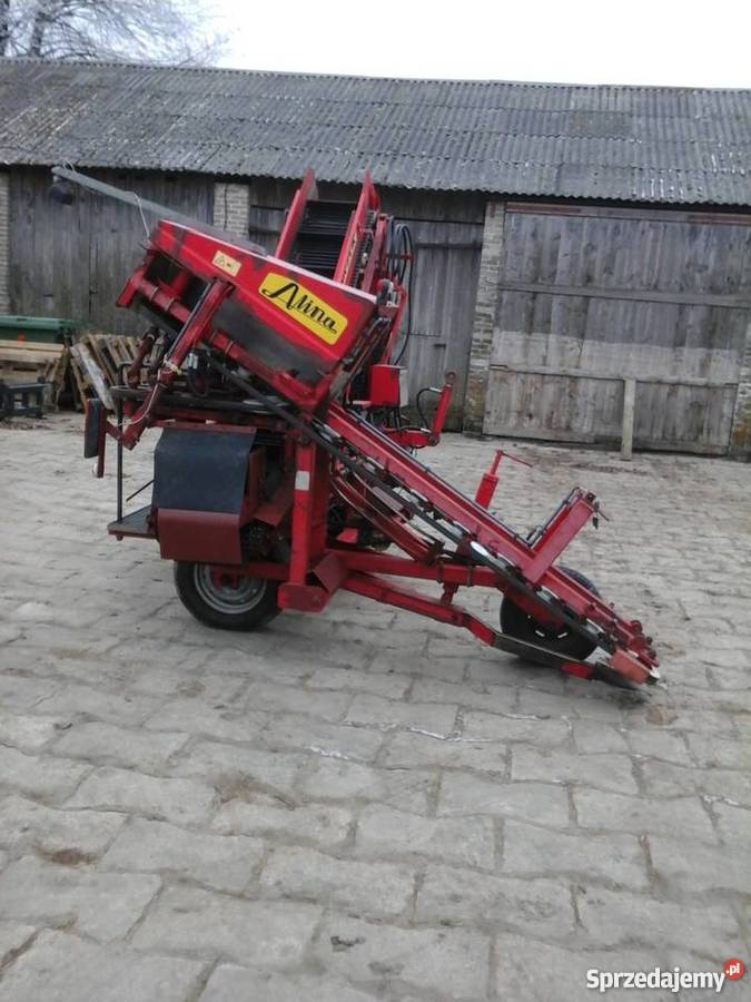 Kombajn do warzyw marchew pietruszka buraczek Rogalin