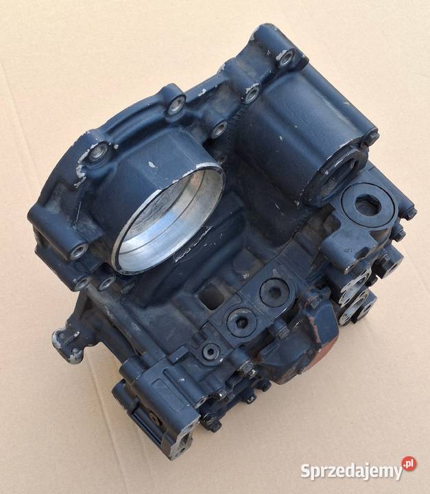 DAF MAN RETARDER INTARDER ZF 6085301207 Bieleń