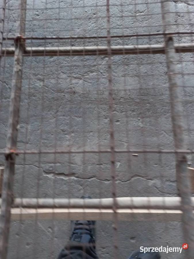 Stół rafka do przebierania orzechów lubelskie Izdebno-Kolonia