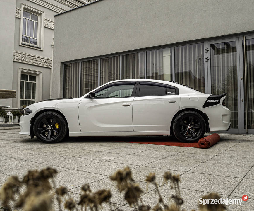 Dodge Charger 2018 3600cm3 świętokrzyskie Kielce