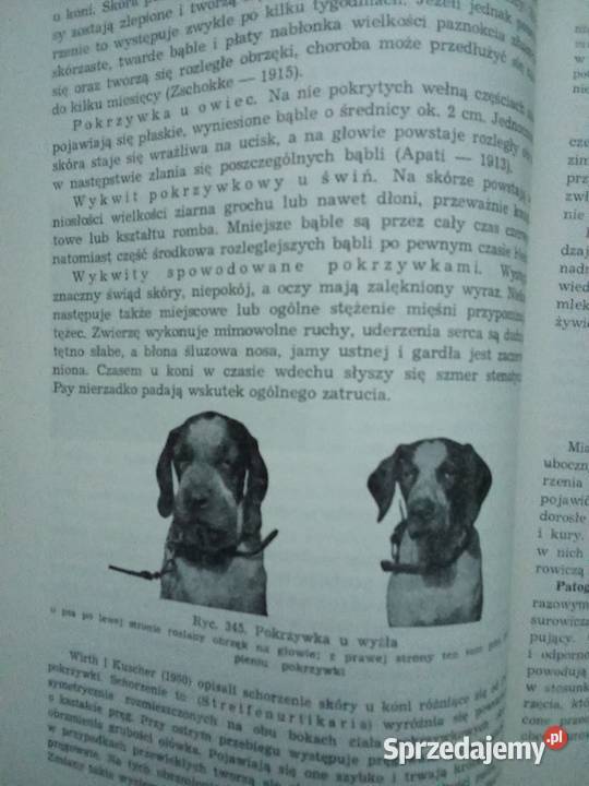 Szczegółowa patologia i terapia chorób zwierząt Książki naukowe i popularnonaukowe