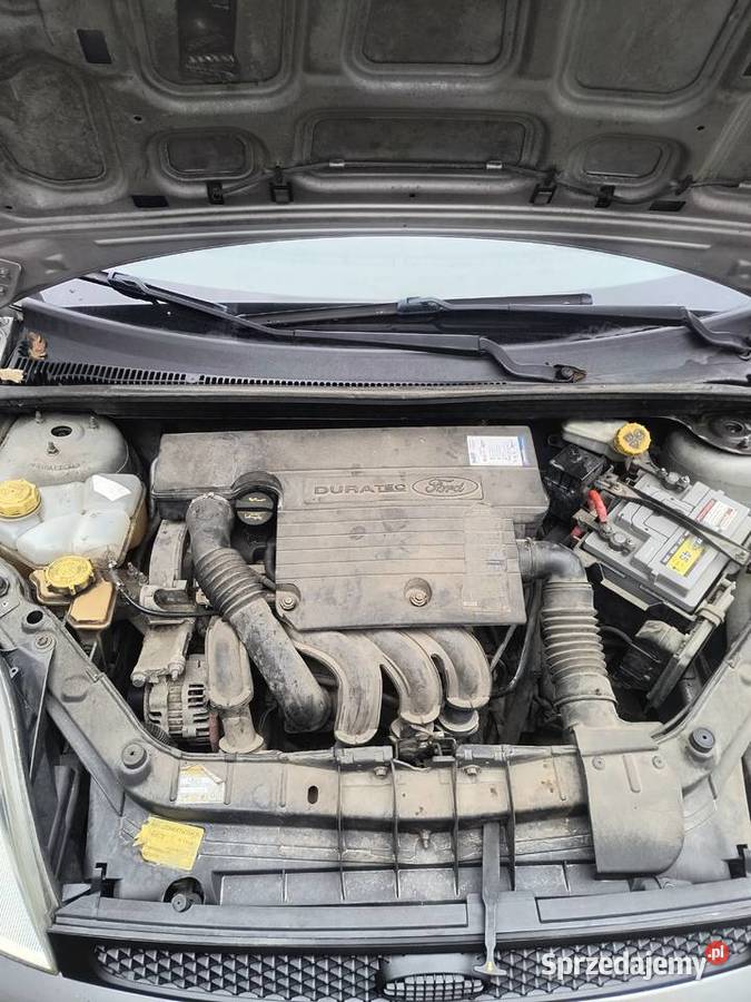 Ford Fiesta mk6 13 benzyna oszczędny klima 15lat centralny zamek Siedliszcze