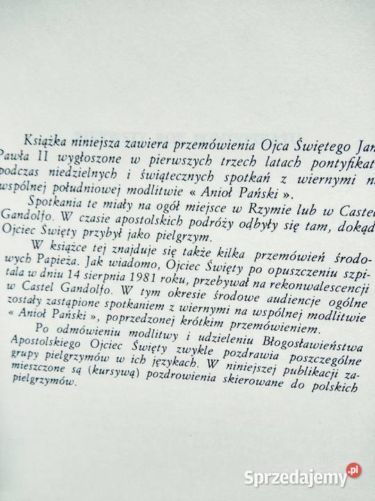 Anioł pański z papieżem Warszawa