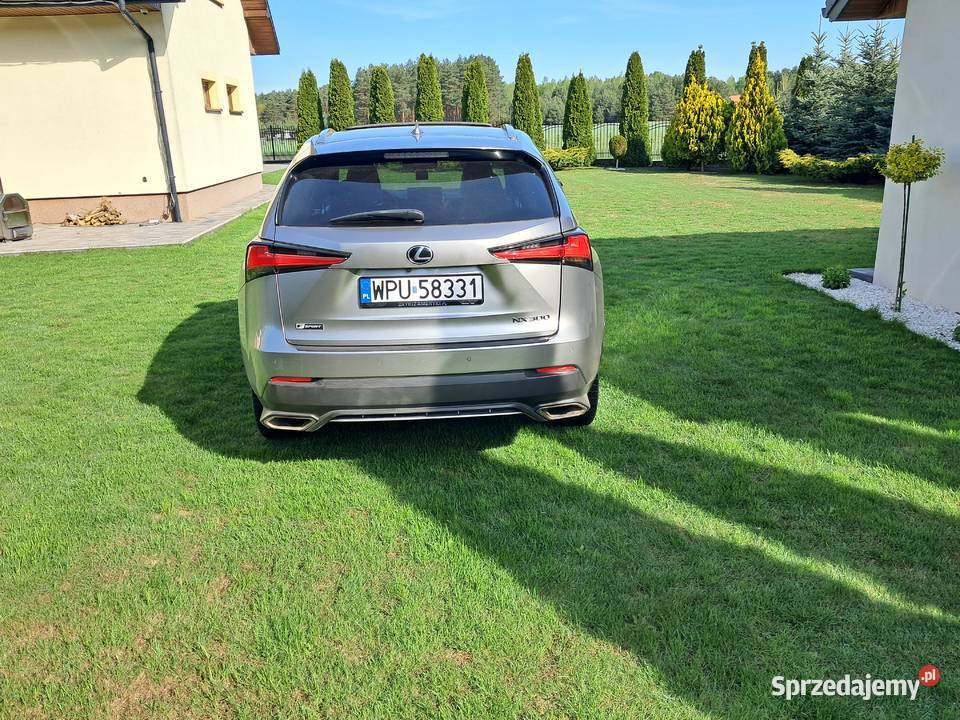 Lexus Nx 300 Fsport 2019 Serock