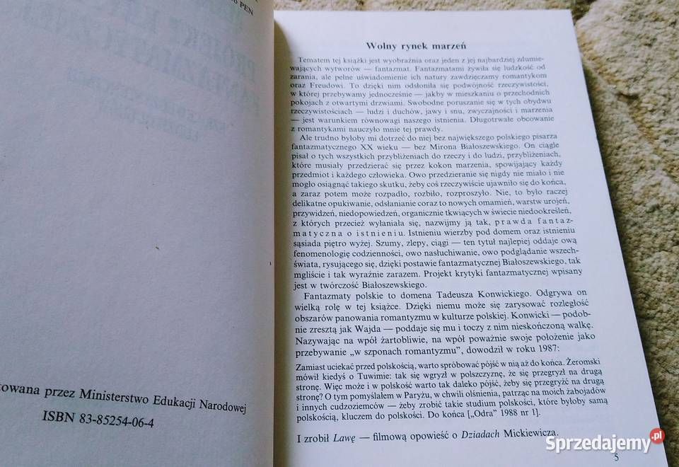 Projekt krytyki fantazmatycznej szkice o egzyst Gdańsk