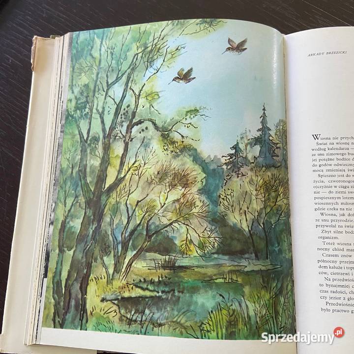 W krainie łowów Włodzimierz Puchalski Jan Marcin Poradniki, albumy i reportaże Błażejowice