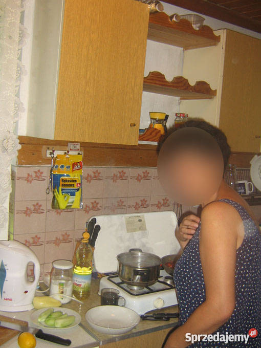 domek letniskowy Pozostałe Boguchwałowice