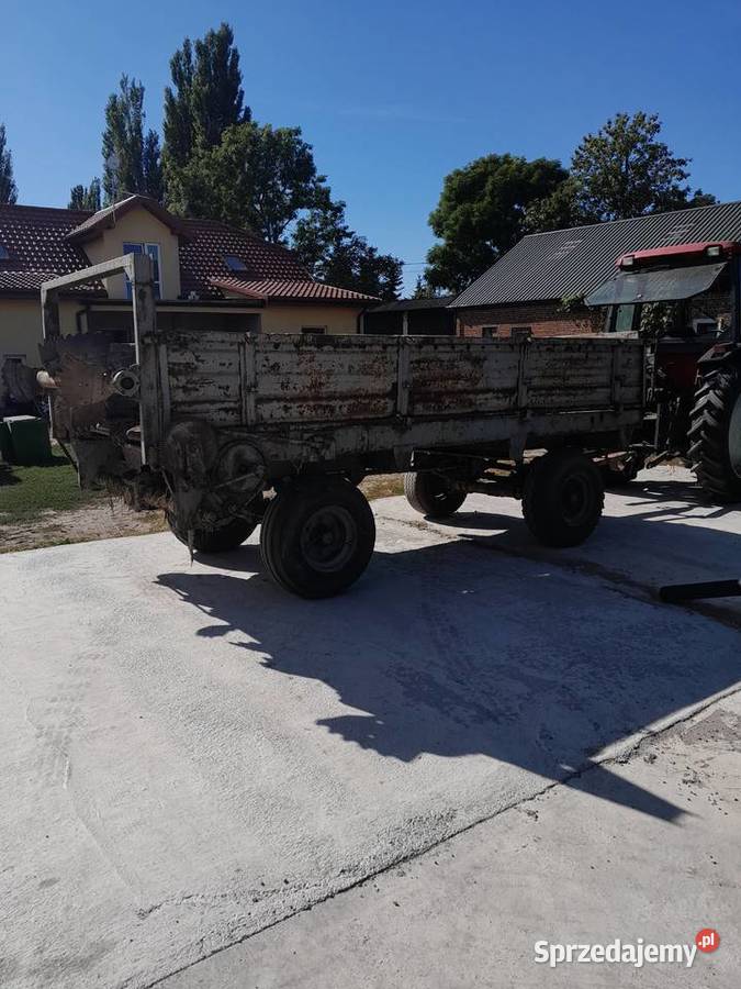 Rozrzutnik nieuszkodzony Sędzin