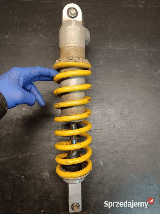 Amortyzator tył centralny zawieszenie części Gołaczewy