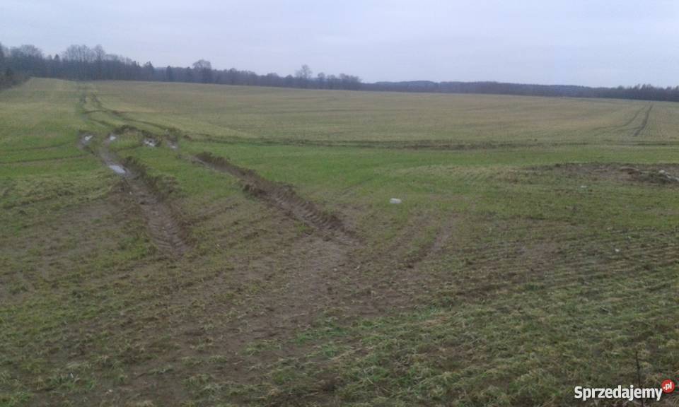 Sprzedam działkę rolnobudowlaną w Redzikowie 114zł/m2 Grunty i działki Redzikowo sprzedam