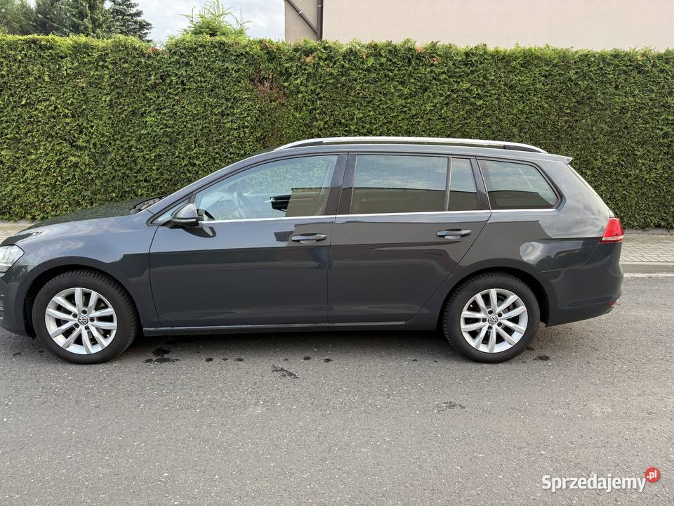Volkswagen Golf 20 TDI Highline DSG Kombi opolskie Kędzierzyn-Koźle