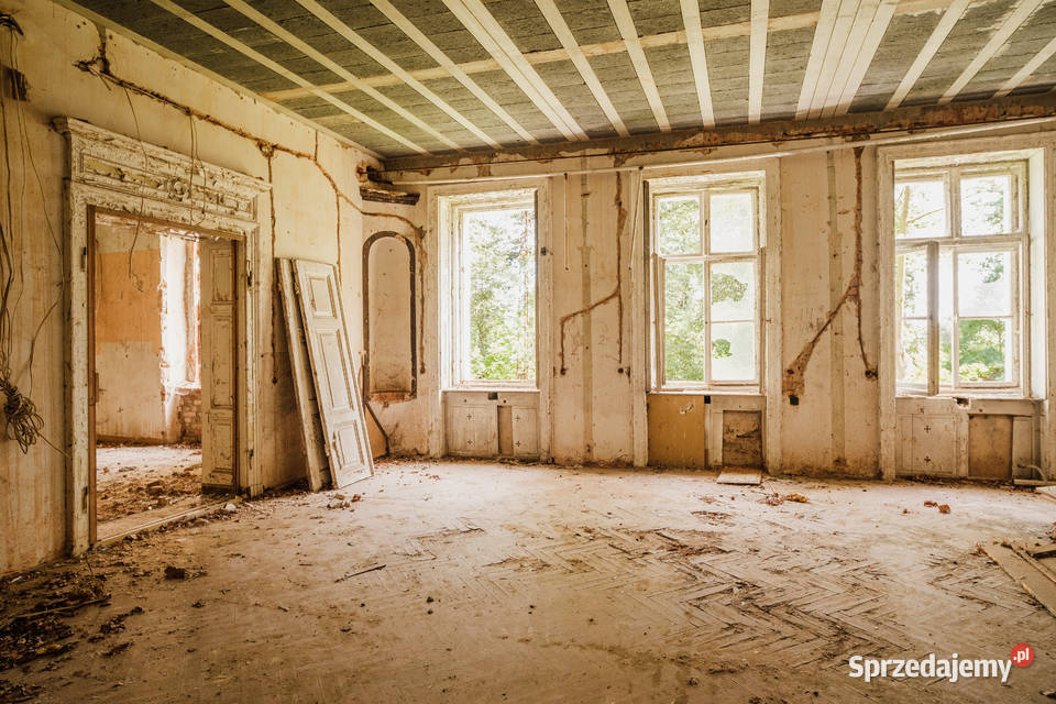 Zabytkowy pałac z parkiem Wilków woj Opolskie 17600m2