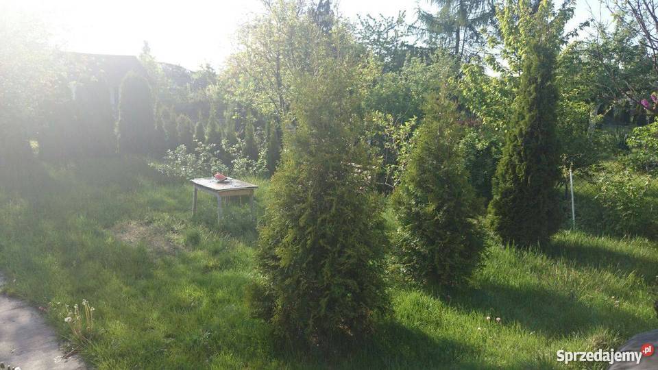 Dzialka ROD Hutnik śląskie Częstochowa