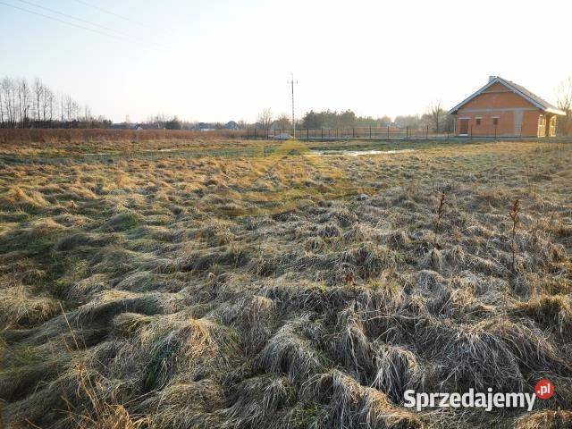 Grunt Chylice 3565m2 mazowieckie sprzedam