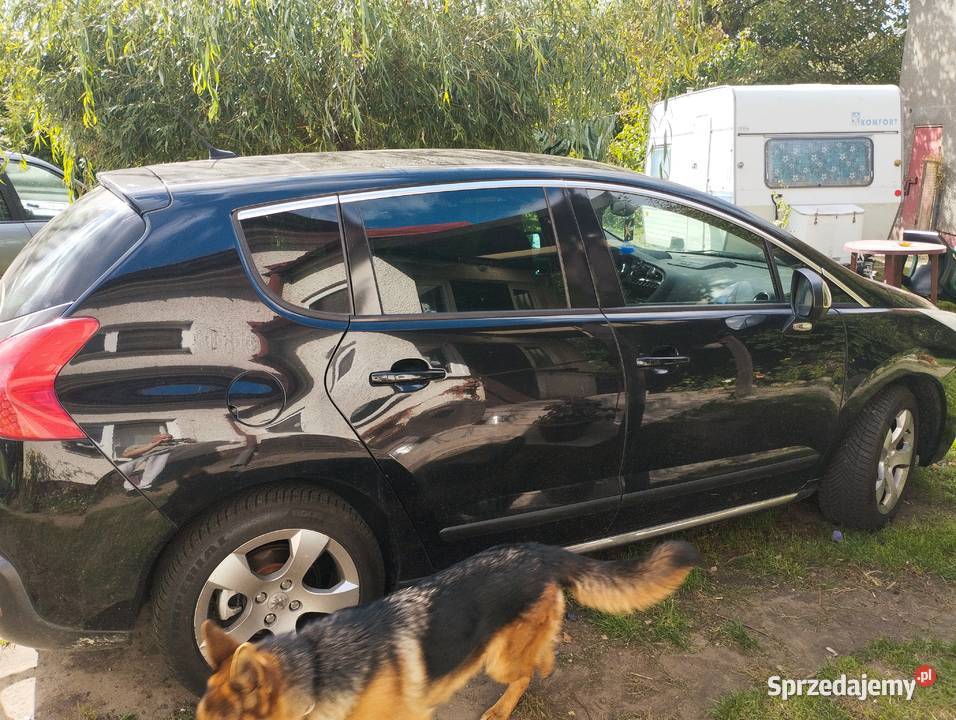 Okazja Sprzedam Lelice sprzedam