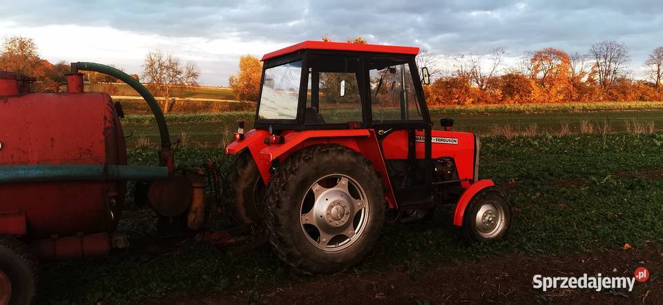 MF 255 W ŁADNYM STANIE Gończyce