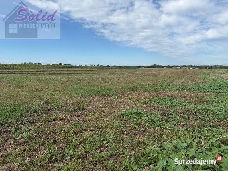 Działki budowlane z warunkami zabudowy w