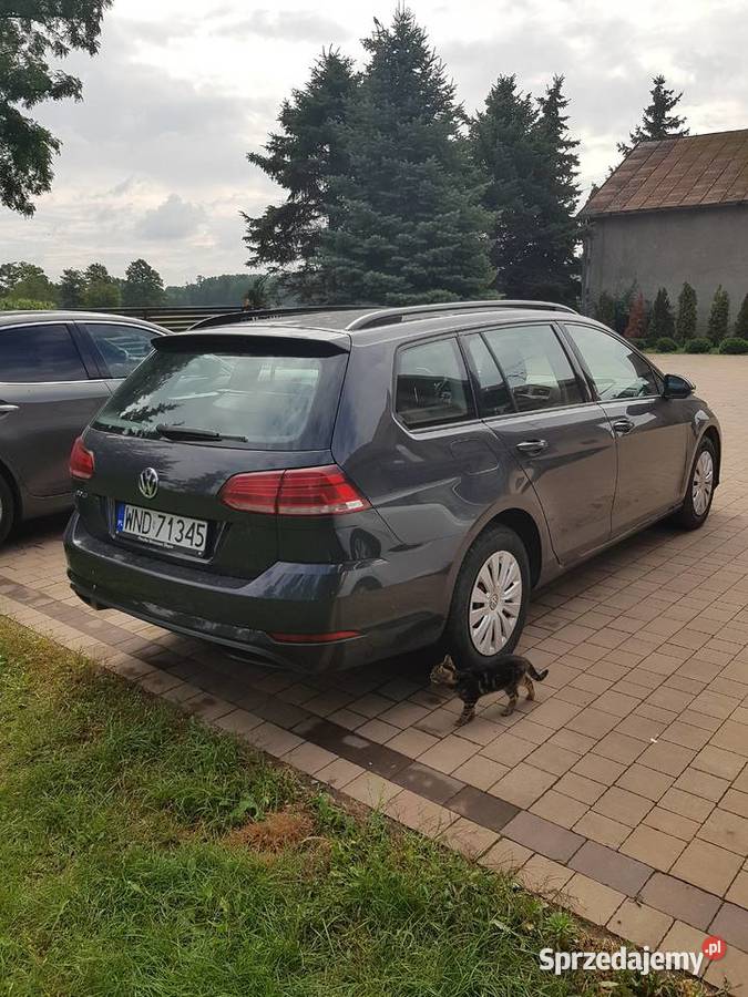 Volkswagen Golf Vll Variant 16 TDI łódzkie Drwalew