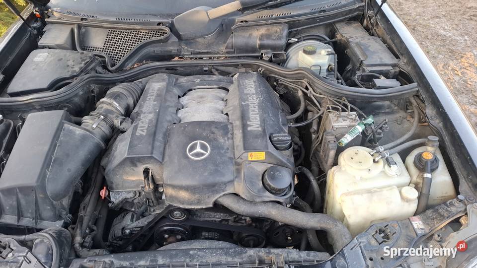 Sprzedam podkarpackie