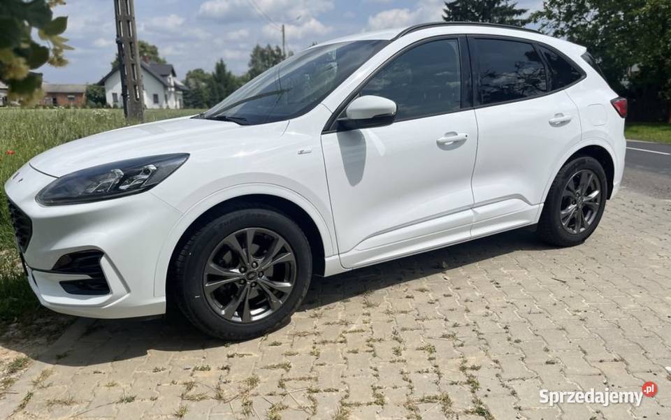 Ford Kuga STLine X Rok produkcji 2020 Piotrowice Wielkie