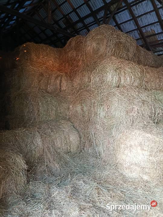 Siano baloty 120 suche