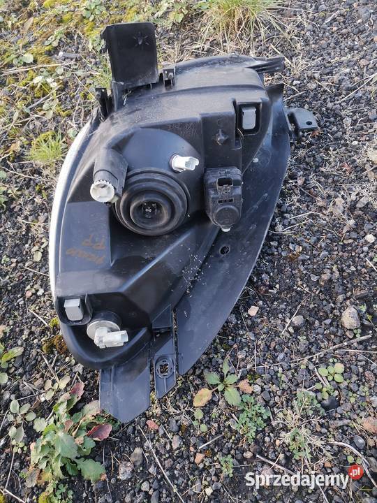 Lampa prawy przód citroen picasso Lampy przednie śląskie Czerwionka-Leszczyny